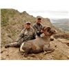 Image 4 : El Fuerte Desert Bighorn Sheep Hunt with Ty Miller