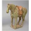 Image 1 : A Horse...