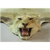Image 1 : A Lion skin rug...