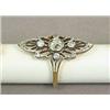 Image 1 : A Ring...