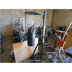 GOLDS GYM BOXING BAG (print sequence:) FY-1100697