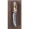 Image 2 : LARGE ETCHED BLADE HUNTING KNIFE-CUT OUT WOLF GRIP,CASE