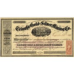 Triunfo Gold & Silver Mining Co