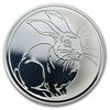 Image 1 : 2011 1 oz Silver Russia Year of the Rabbit Proof Coin