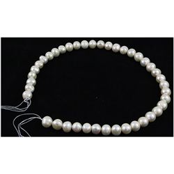 283.16ct Ivory White Freshwater Pearl Necklace, 16in