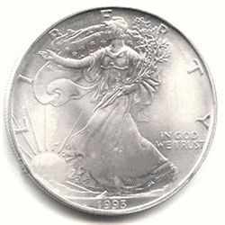 Uncirculated Silver Eagle 1993