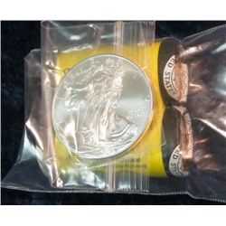 326. 2007 P & D Native American Golden Dollar Rolls, U.S. Mint wrapped; & 2008 Gem BU American Eagle