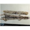 Image 1 : LOT 2 VINTAGE REAL WEASEL FUR PELTS