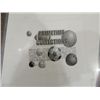Image 3 : LOT 4 8X10 BASEBALL PHOTO AUTOGRAPH ROY WHITE &