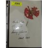 Image 1 : RUTH, OTT, JOHNSON, PENNOCK ON CARD SIGNATURE NO