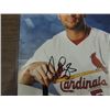 Image 2 : 8X10 BASEBALL PHOTO AUTOGRAPHED ALBERT PUJOLS COA