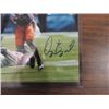 Image 2 : 10X8 FOOTBALL PHOTO AUTOGRAPHED DEZ BRYANT COA