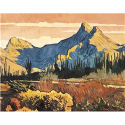 Robert Daughters - Kino Bay