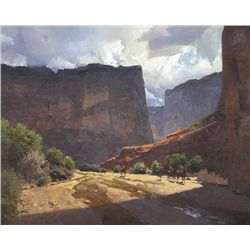 Mian Situ - Navajo Country