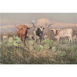 David Sanders - King Ranch Longhorns