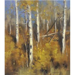 Scott Christensen - Aspen