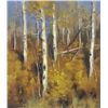 Image 1 : Scott Christensen - Aspen