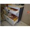 Image 2 : Zeiss 3 drawer Storage Cabinet