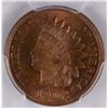Image 2 : 1902 INDIAN CENT PCGS MS-64 BN  LOOKS RED BROWN