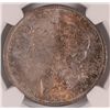 Image 2 : 1887 MORGAN DOLLAR NGC MS-64 RAINBOW COLOR OBVERSE, WHITE REVERSE