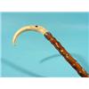 Image 1 : Walking stick with ivory knop in the form of a toucan, silver band…
