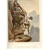 Image 1 : Victor Petit, "Souvenir de Pyrénees", 25 lithos and color lithos, 19th century…