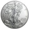Image 1 : 2013 Silver American Eagle - MS-69 NGC