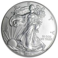 2013 Silver American Eagle - MS-70 NGC - ALS Label