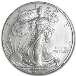 2013 (S) Silver American Eagle - MS-70 NGC - Trolley La