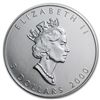 Image 1 : 2000 1 oz Silver Canadian Maple Leaf - Millennium Firew