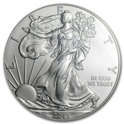 2013-W Burnished Silver Eagle - MS-69 PCGS from Unc Set