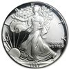 Image 1 : 1987-S Proof Silver American Eagle PF-69 NGC (Retro Bla