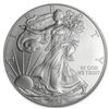 Image 1 : 2009 Silver American Eagle - MS-69 PCGS