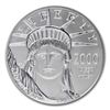 Image 1 : 1 oz Platinum American Eagle PCGS/NGC MS-69 (Random Yea