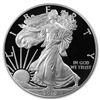 Image 1 : 2010-W (Proof) Silver American Eagle PR-69 DCAM PCGS