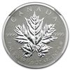 Image 1 : 2013 1/20 oz Silver Canadian $1 Maple Leaf 25th Anniv.