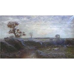 EUROPEAN SCHOOL (19th Century) "Sheep Along the River". Signed indistinctly l/l. Oil on Canvas. M...