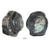 Image 1 : Mexico City, Mexico, cob 8 reales, Philip IV, assayer P, uncleaned.