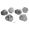 Image 1 : Lot of 3 Potosi, Bolivia, cob 1R, assayer E (1667, 1675 and date not visible), desirable provenance.