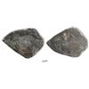 Image 1 : Mexico City, Mexico, cob 8 reales, Philip V, assayer L (1702-05).