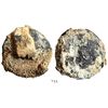 Image 1 : Clump of 1 Spanish colonial bust 8 reales, Charles III, encrusted with the remains of an ivory lice 