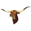 Image 1 : Longhorn steer mount w/curly hair & removable horns, Exc cond, 68" horn spread.