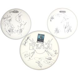 Autographed drum heads (3), Tesla, Jackyl & Dokken, signed by Frank Hannon, Jesse James Dupree, Don 