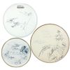 Image 1 : Autographed drum heads (3), Tesla Jacky & Ratt, signed by Frank Hannon, Jesse James Dupree & others,