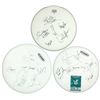 Image 1 : Autographed drum heads (3), Foreigner, Night Ranger & Shooting Star, signed by Mick Jones, Jack Blad