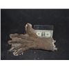 Image 1 : UNDERWORLD LYCAN HAND UNUSED LATEX