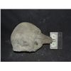 Image 1 : PENGUIN SEVERED HEAD FOAM FILLED LATEX