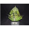 Image 3 : BEDTIME STORIES ALIEN CREATURE MASK FROM SPACE STATION SILICONE