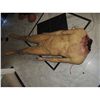 Image 1 : COMPLETE HEADLESS BODY CORPSE WITH SEVERED HEAD GORE