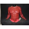 Image 1 : HELLBOY 2 THE GOLDEN ARMY SCREEN USED & MATCHED HERO TORSO WITH ARMS WORN BY RON PERLMAN